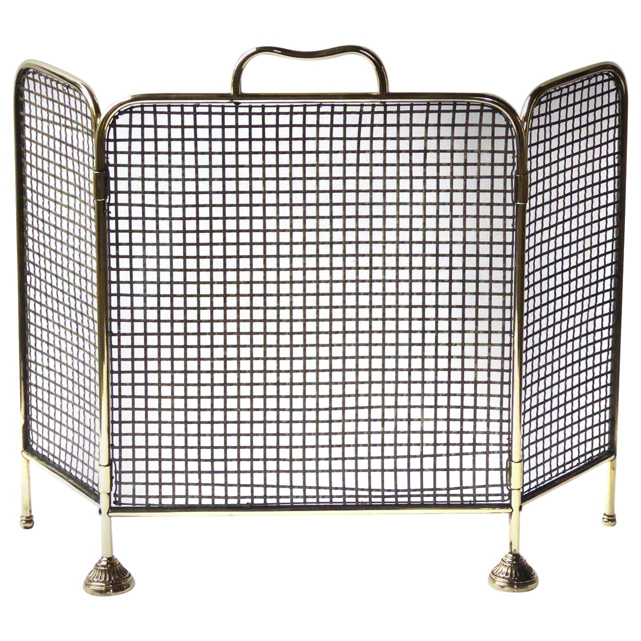 19th Century English Victorian Fireplace Screen or Fire Screen