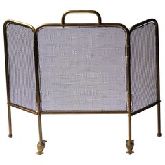 19th Century English Victorian Fireplace Screen or Fire Screen