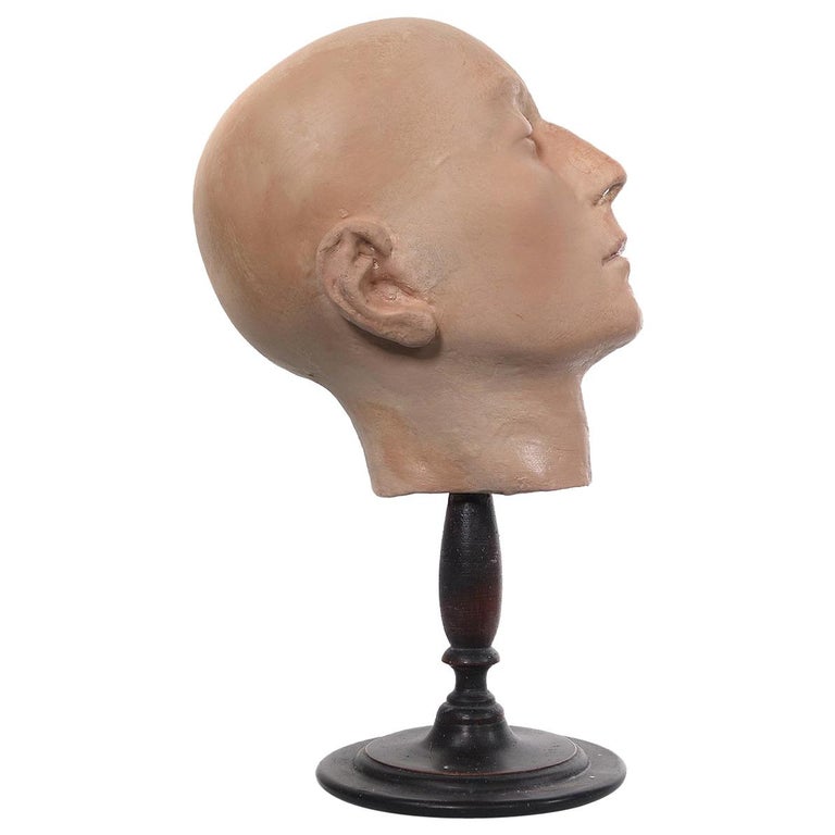 Early Anatomical Half Head Model at 1stDibs