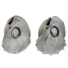 Pair of Rare Shell Cameos Depicting Queen Victoria & Albert