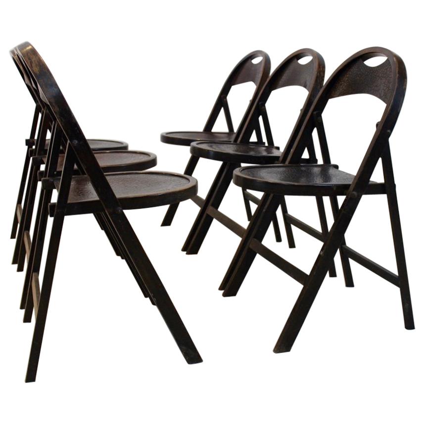 Stock of Solid Wood Bauhaus Folding Chairs with Unique Croco Woodprint, Thonet
