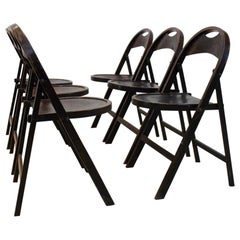 Stock de chaises pliantes Bauhaus en bois massif avec impression de bois au croco unique, Thonet