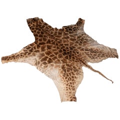 Genuine Large African Giraffe Rug