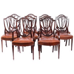 Antique Set of 10 English Hepplewhite Shield Back Dining Chairs 19th Century