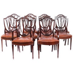 Ensemble antique de 10 chaises de salle à manger anglaises Hepplewhite Shield Back 19ème siècle