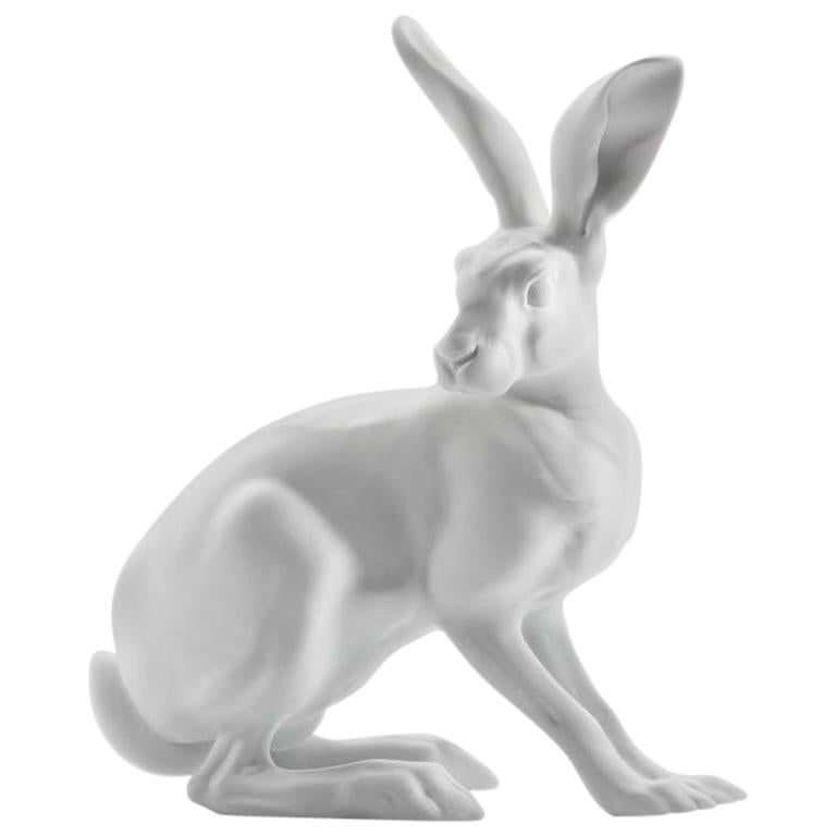 Hare Animal Figure in White Biscuit Porcelain by Nymphenburg For Sale