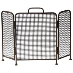 19th Century English Victorian Fireplace Screen or Fire Screen