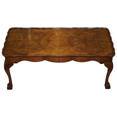 Vintage Quarter Burr Walnut Cut Coffee Table with Claw and Ball Cabriolet Legs