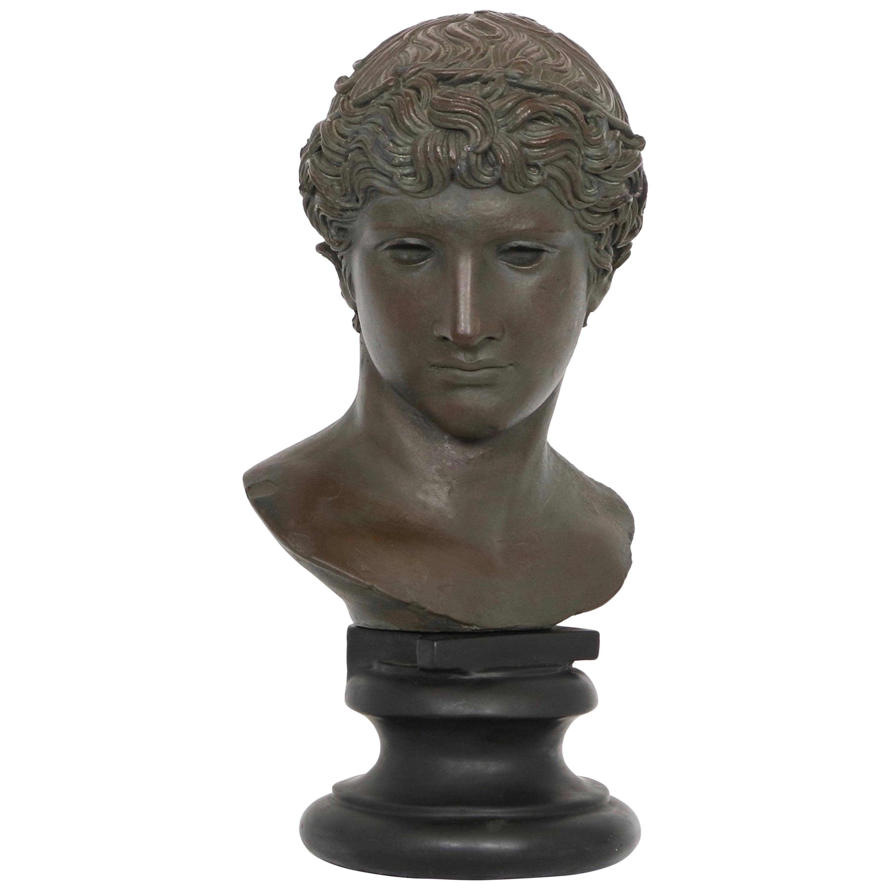 Alva Studios Greco-Roman Bust Reproduction