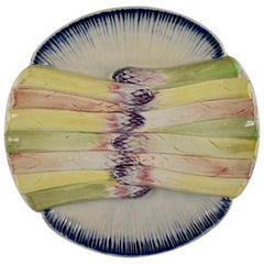Pexonne French Faïence Majolica Multi-Colored Asparagus Plate, circa 1870