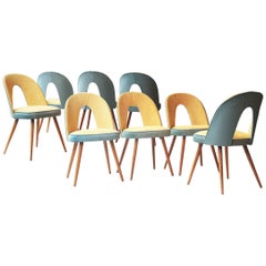 Antonin Suman Curved Blue Yellow Beech Eight Czech Republic Dinning Chairs, 1960