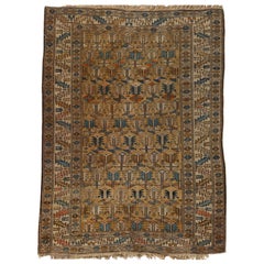 Tapis Shirvan caucasien ancien, circa 1880