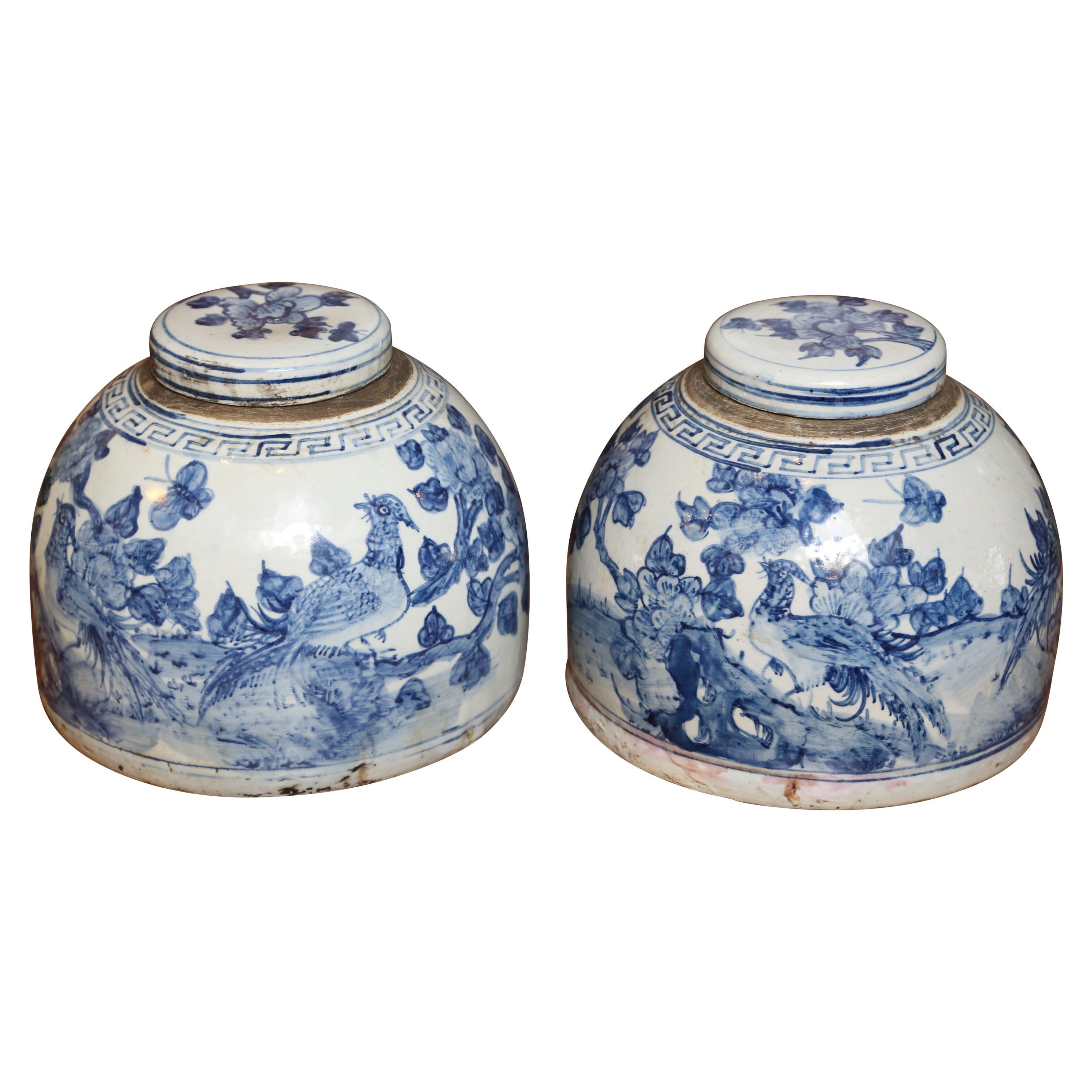 Pair of Chinese Blue and White Jars with Lids