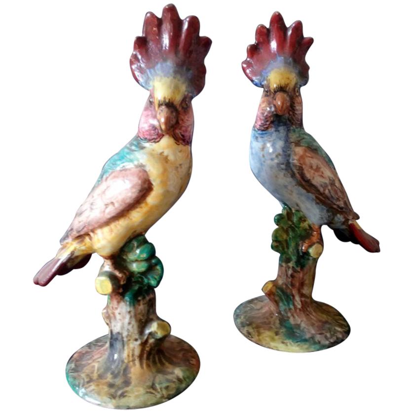 Pair of Cacatua Porcelain Figurine, Italy, 20th Century For Sale