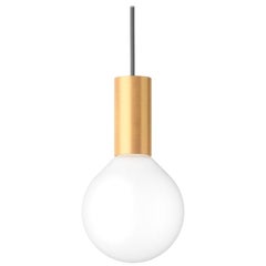 Punct 12, Contemporary Pendant Lamp, Brass