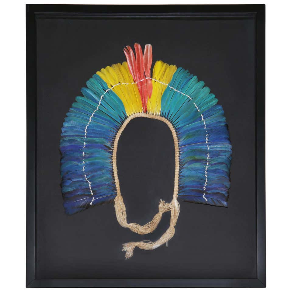 Kayapo 1 Headdress with Natural Feathers at 1stDibs | kayapo headdress