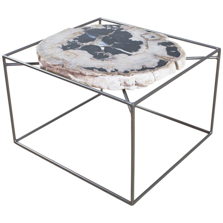 Side or Cocktail Table with Petrified Wood Tabletop Metal Frame Base For Sale