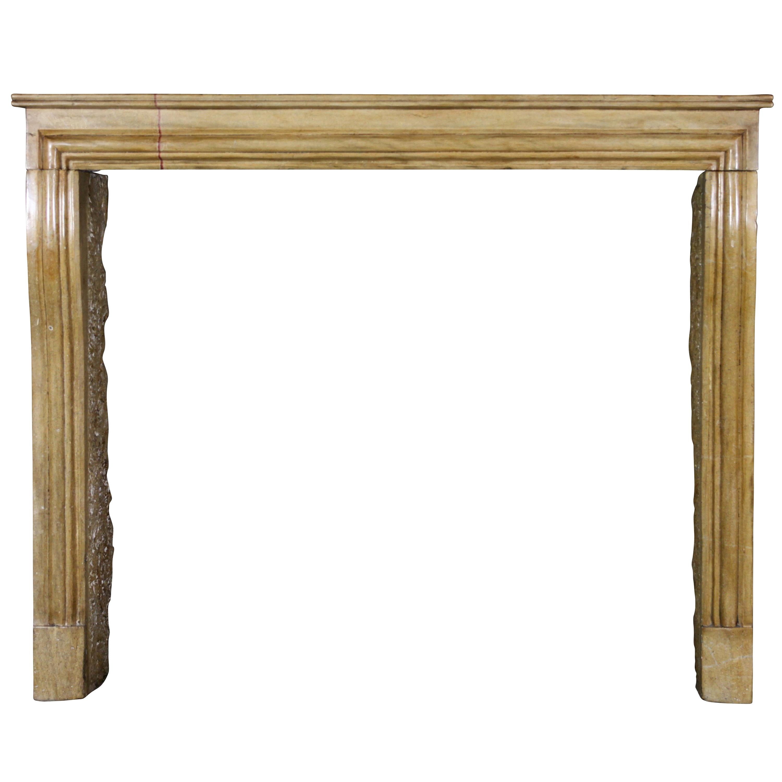 French Small Antique Hard Limestone Designed by Nature Fireplace Surround For Sale