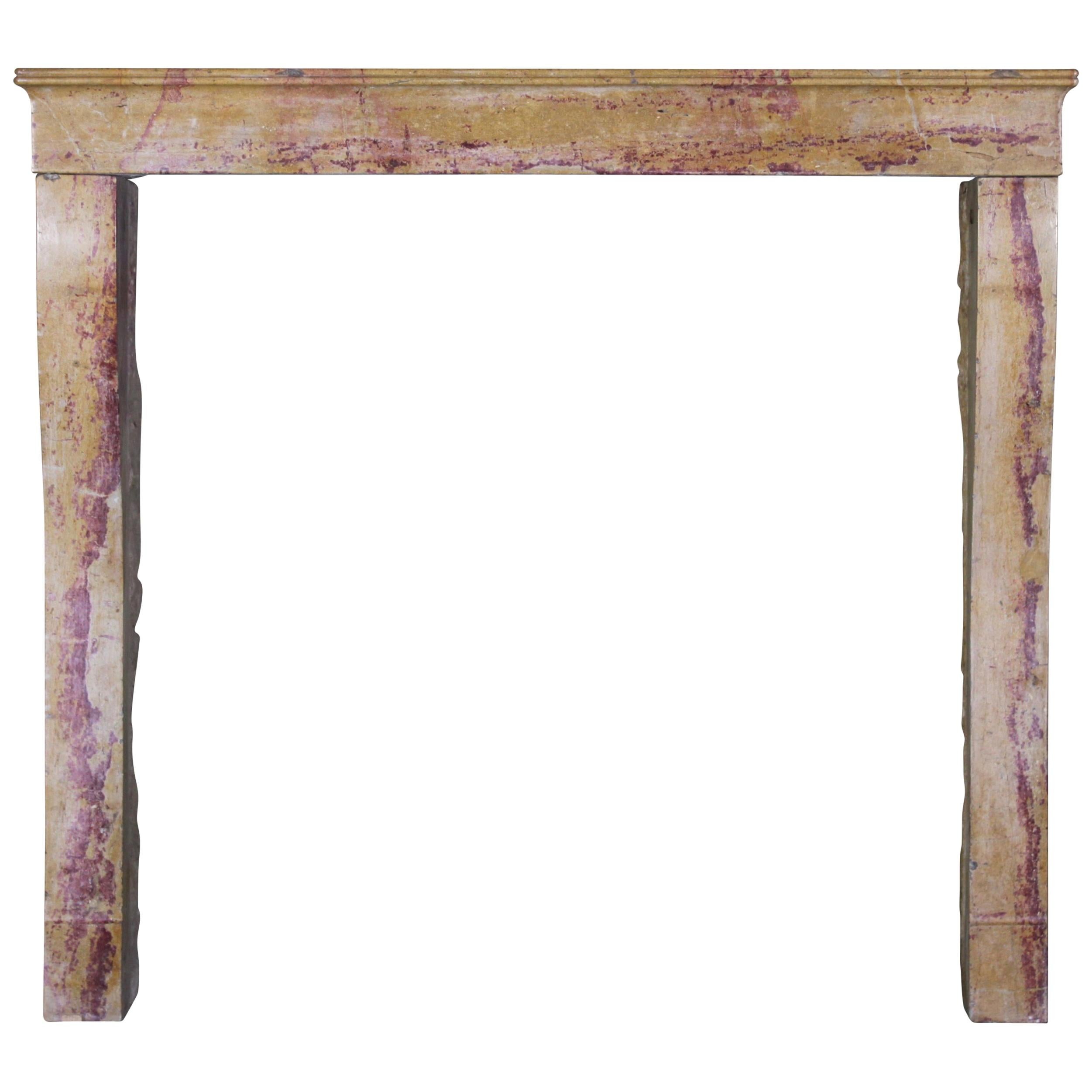 19th Century French Designed by Nature Stone Antique Fireplace Surround