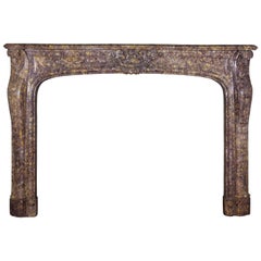 19th Century Brocatelle Marble French Interior Antique Fireplace Surround