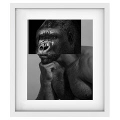 Gorilla Muscular Man Naro Pinosa, "Untitled" Digital Collage, Spain, 2019
