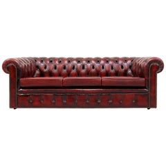 Chesterfield Genuine Leather Sofa Leather Antique Vintage Couch English