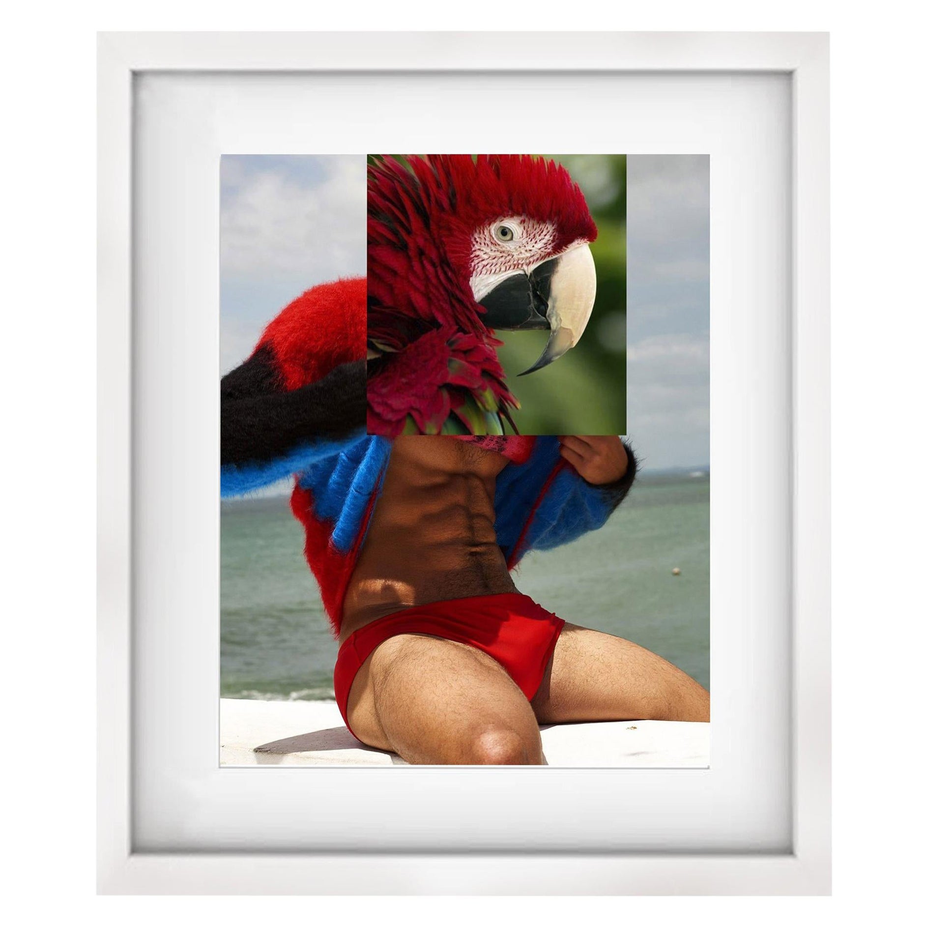 Loro + Hombre Musculoso Naro Pinosa, "Sin título" Collage Digital, España, 2019