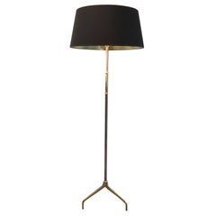 Brushed Metal and Brass Floor Lamp, circa 1960