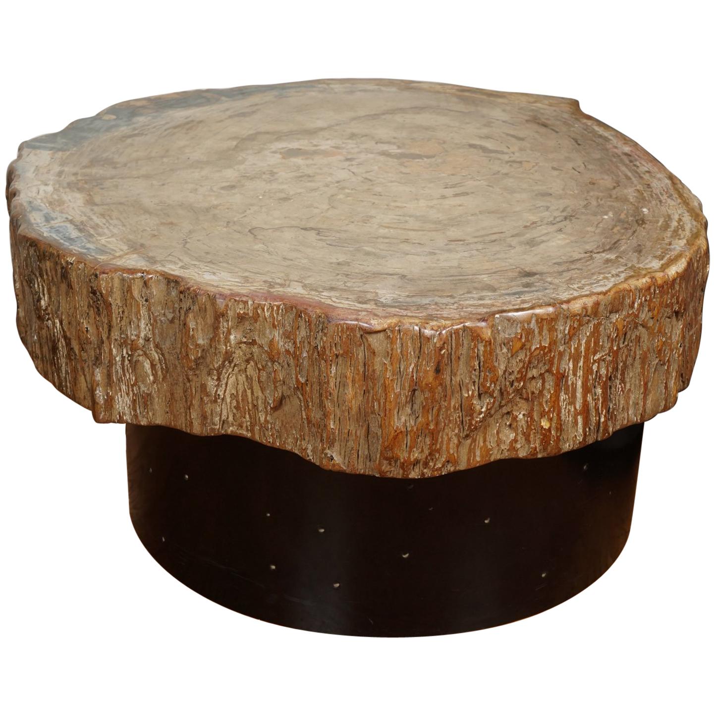 Petrified Wood Cocktail Table in the Style of Ado Chale For Sale