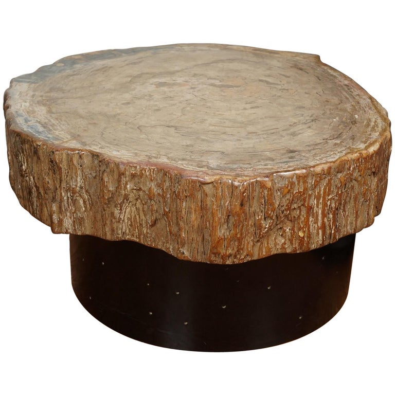 Petrified Wood Cocktail Table in the Style of Ado Chale For Sale at 1stDibs