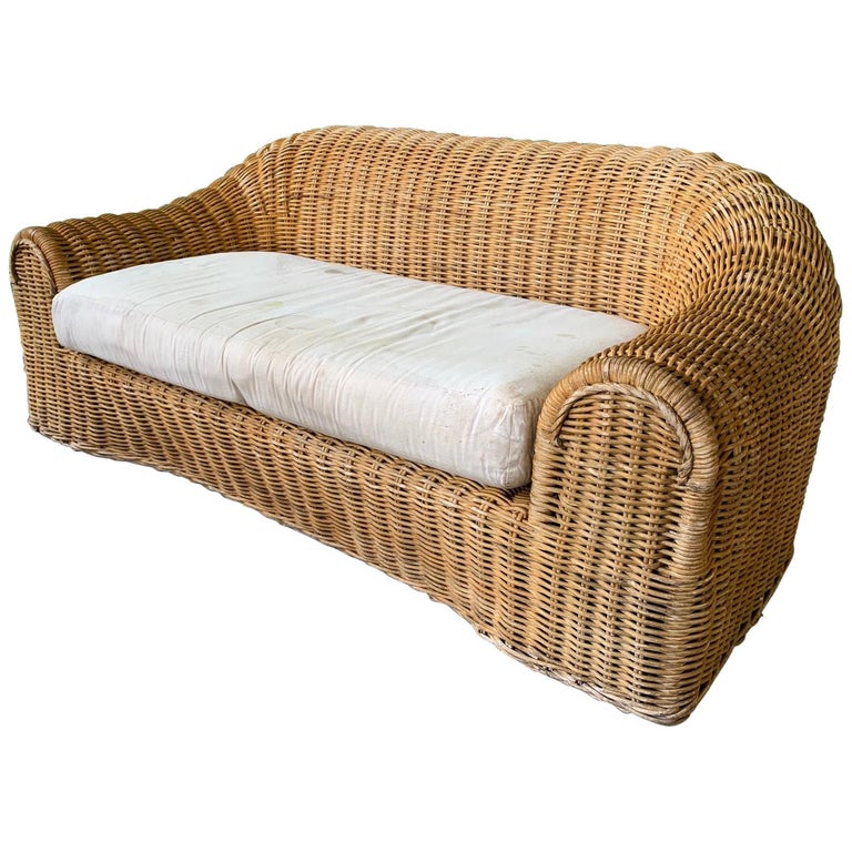 Sculptural Wicker Sofa in the Manner of Michael Taylor For Sale at 1stDibs