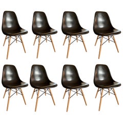 Set of Eight Eames Black DSW Herman Miller, Dining Chairs