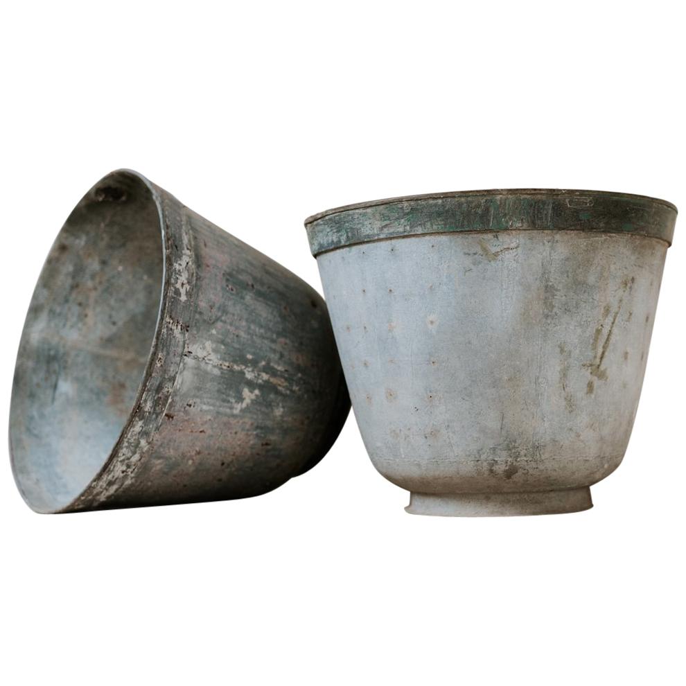 Pair of 19th Century French Zinc/Metal Jardinières or Planters