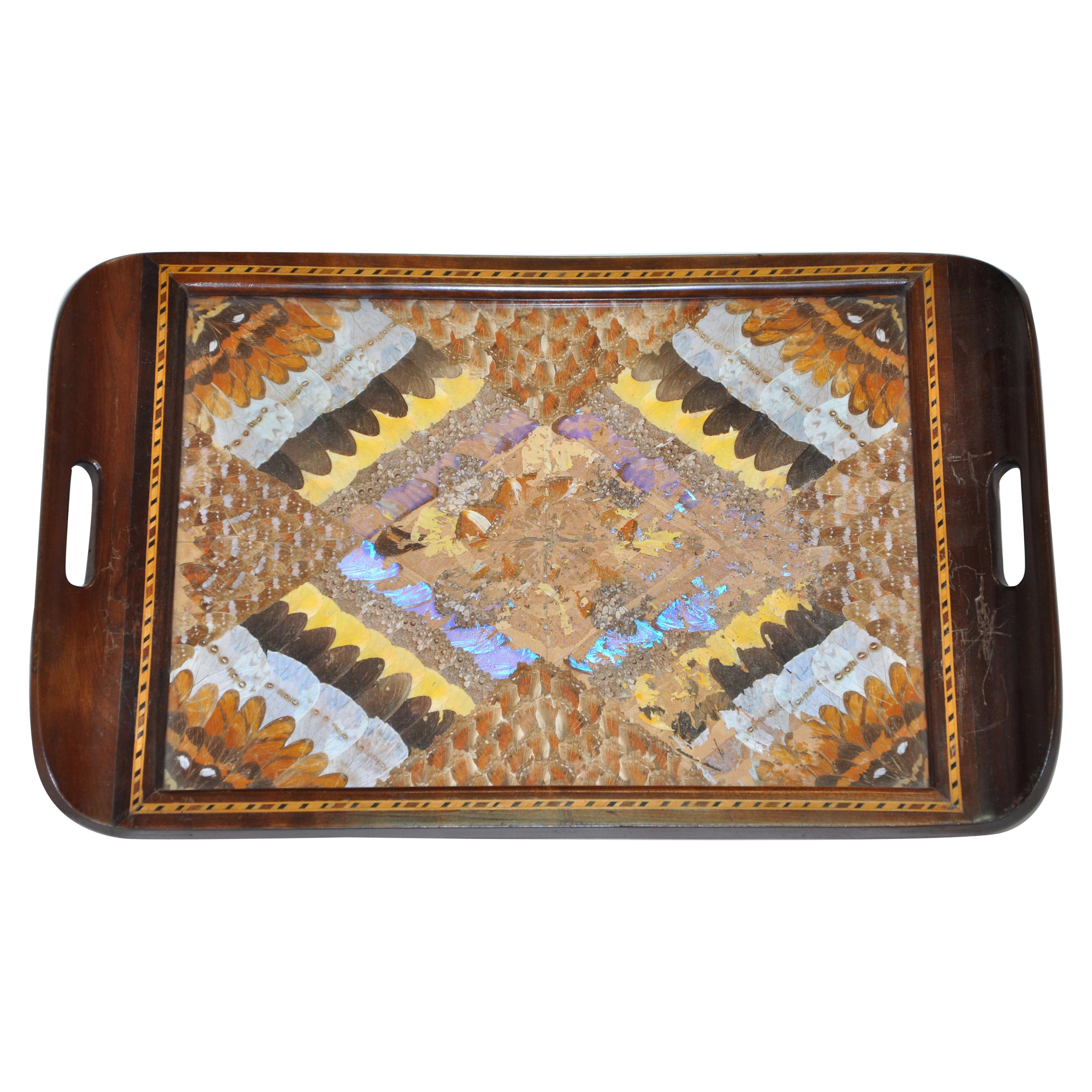 Butterfly Wing and Inlaid Wood Tray For Sale