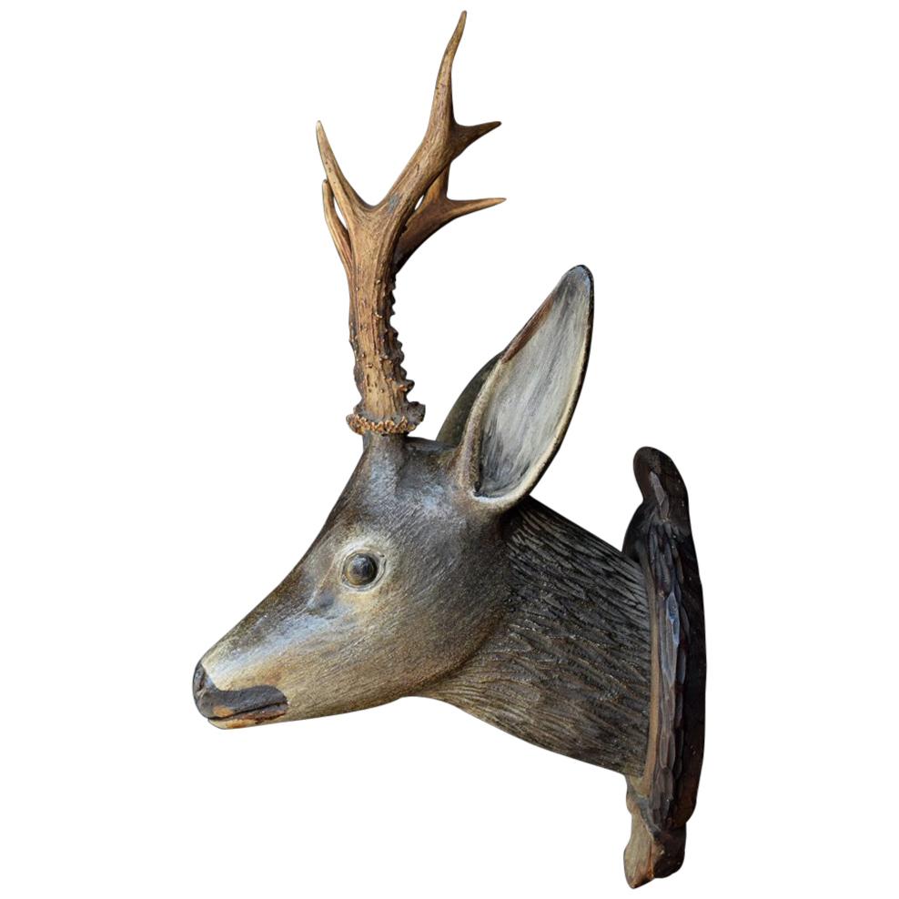 19th Century European Carved Wood Deer’s Trophy Head