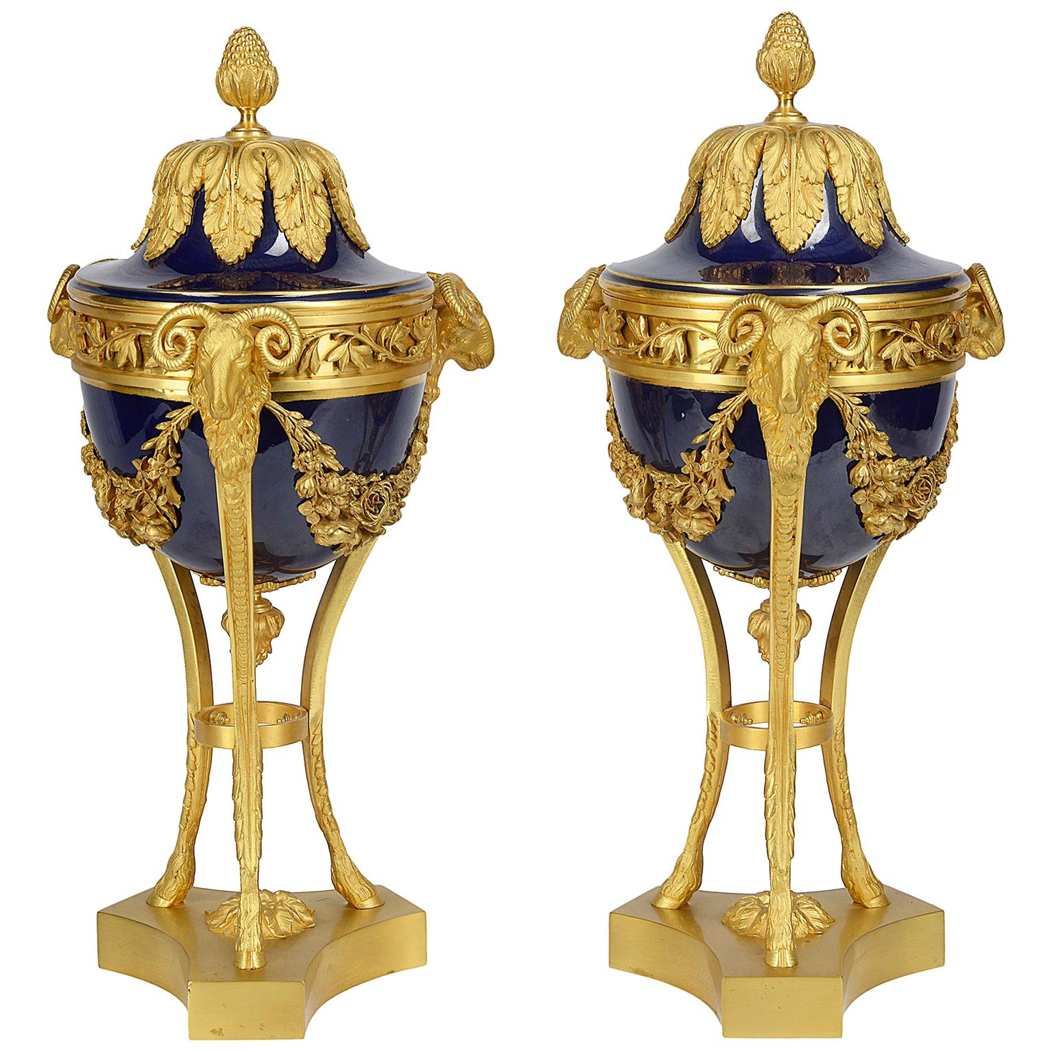 Pair Sevres Style Porcelain and Ormolu Urns