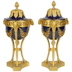 Pair Sevres Style Porcelain and Ormolu Urns
