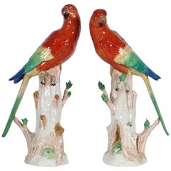 Dresden Porcelain Sculpture of Macaw Parrots