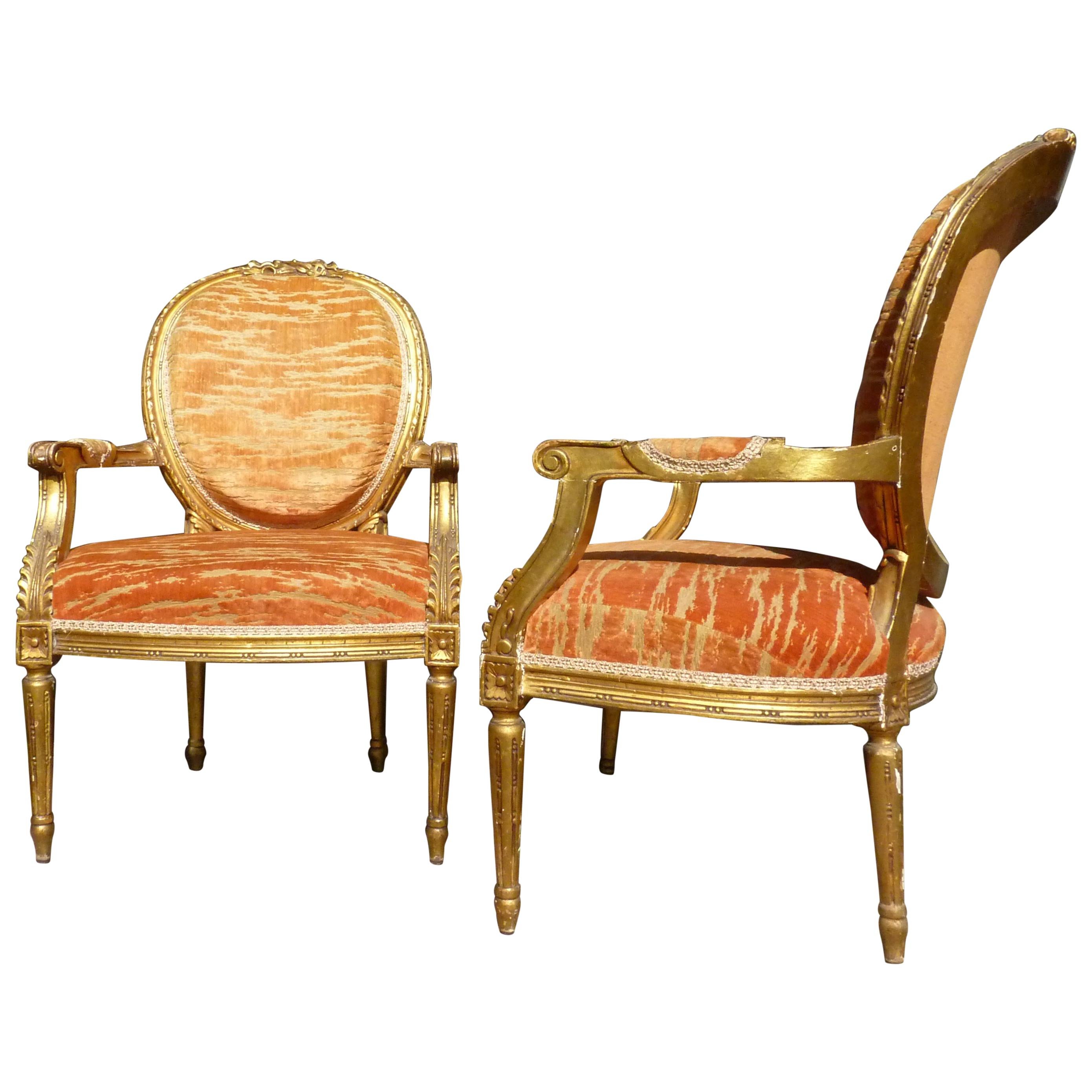 20th Century Louis Seize Gilded Chairs For Sale