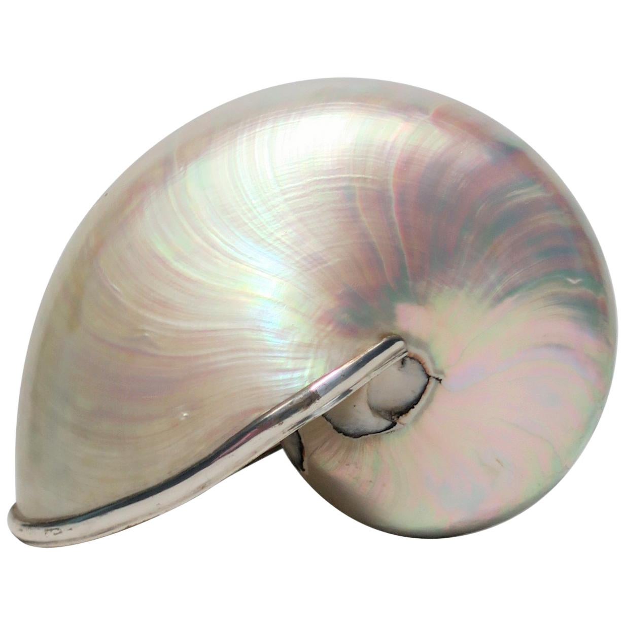 White Mother-of-Pearl Nautilus Seashell