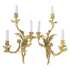 Pair of Gilt Bronze Sconces from the 19th Century in Louis XV Style