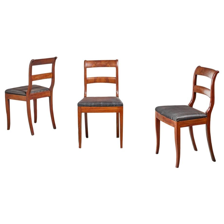 Set of 3 Karl Johan Style Sidechairs with Horsehair Seat, Sweden, 19th Century