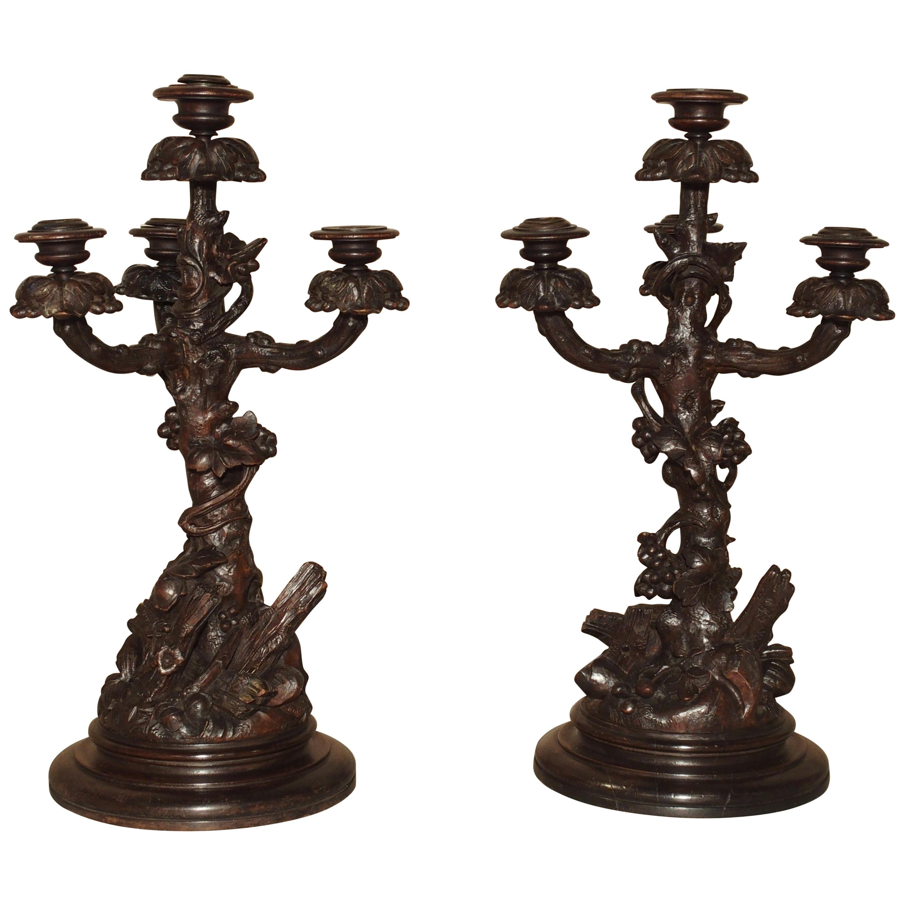 Pair of Unusual 19th Century Black Forest Candelabras