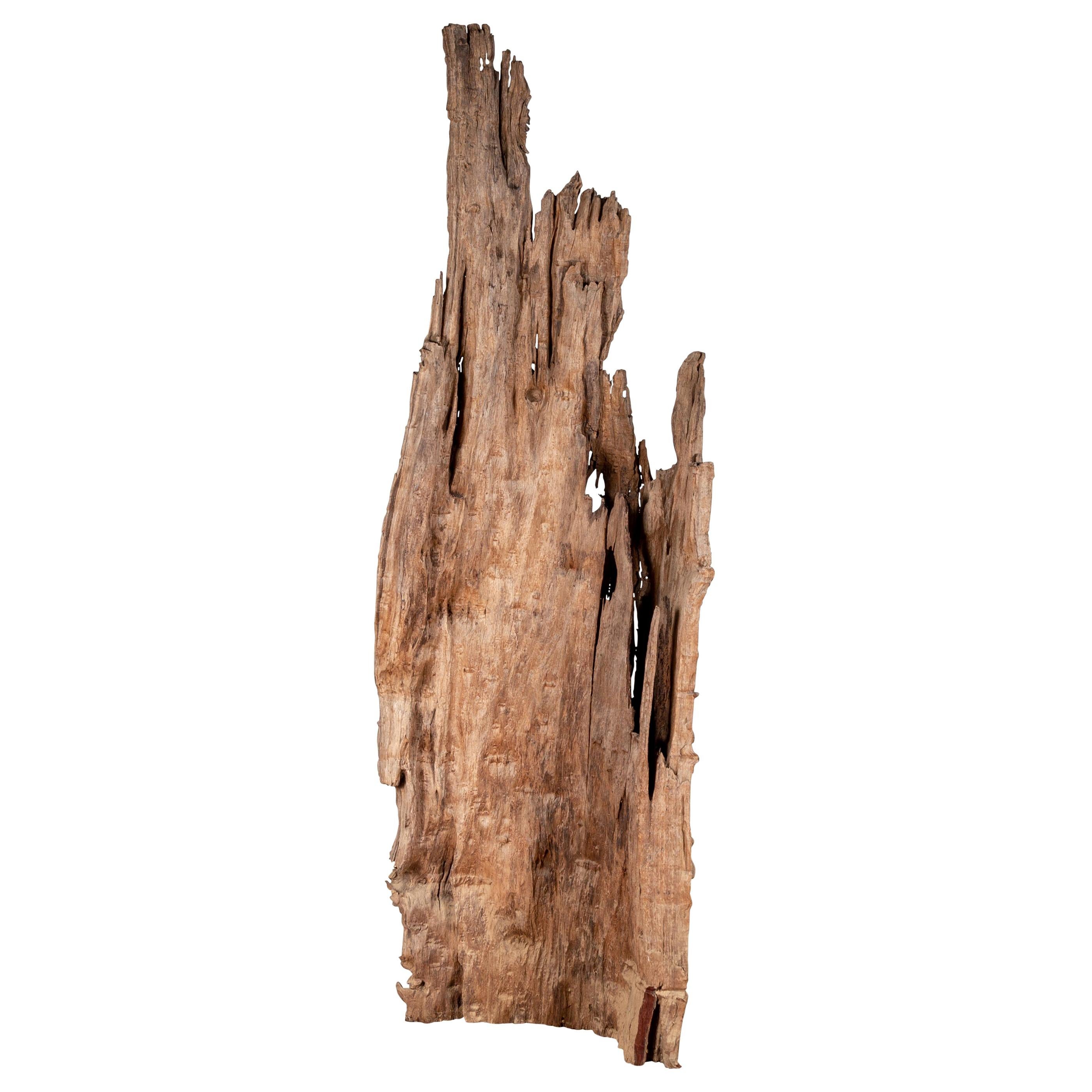 Ancient Driftwood Carving from Northern Thailand Found in the Chiang Mai Region