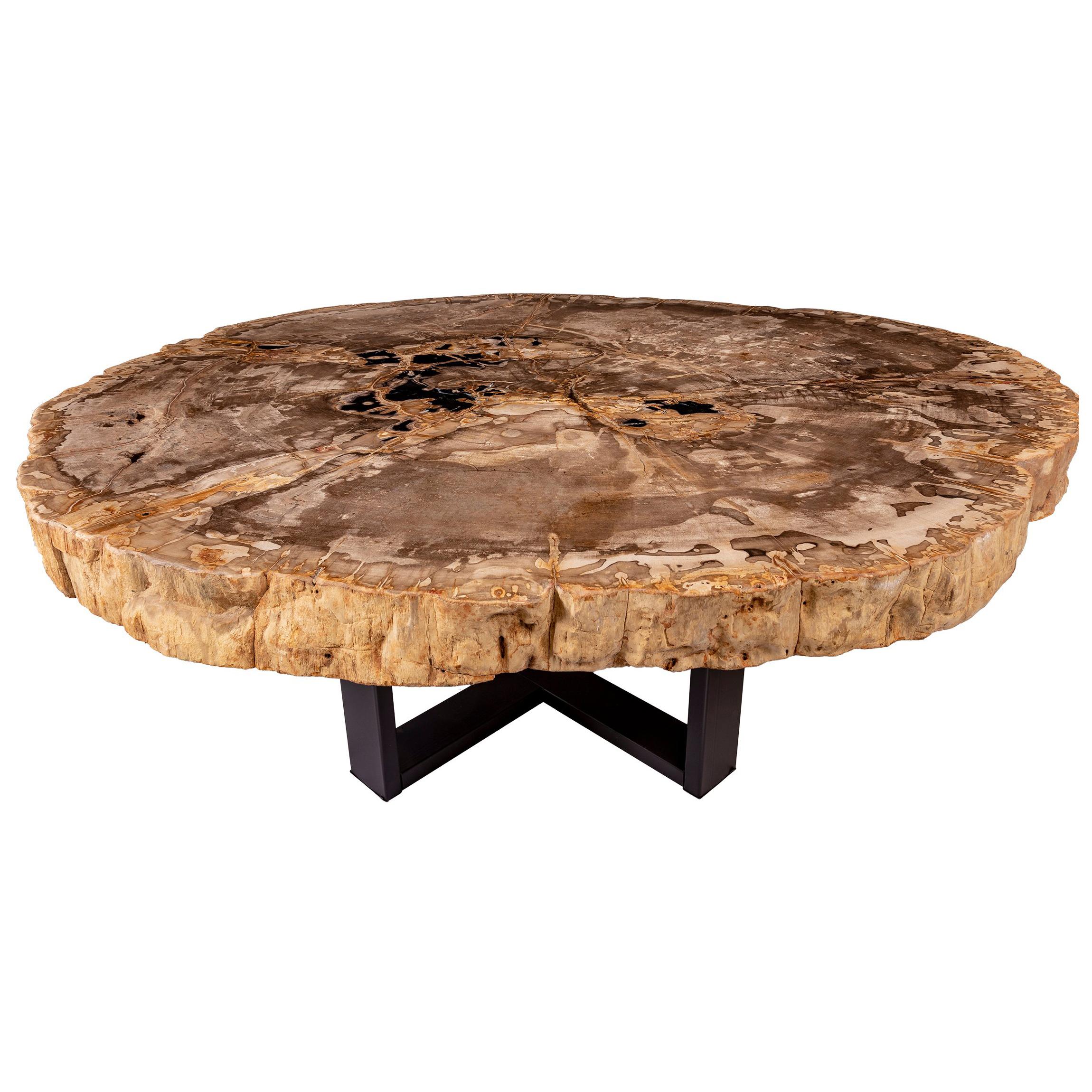 Center of Coffee Table, Natural Circular Shape, Petrified Wood with Metal Base