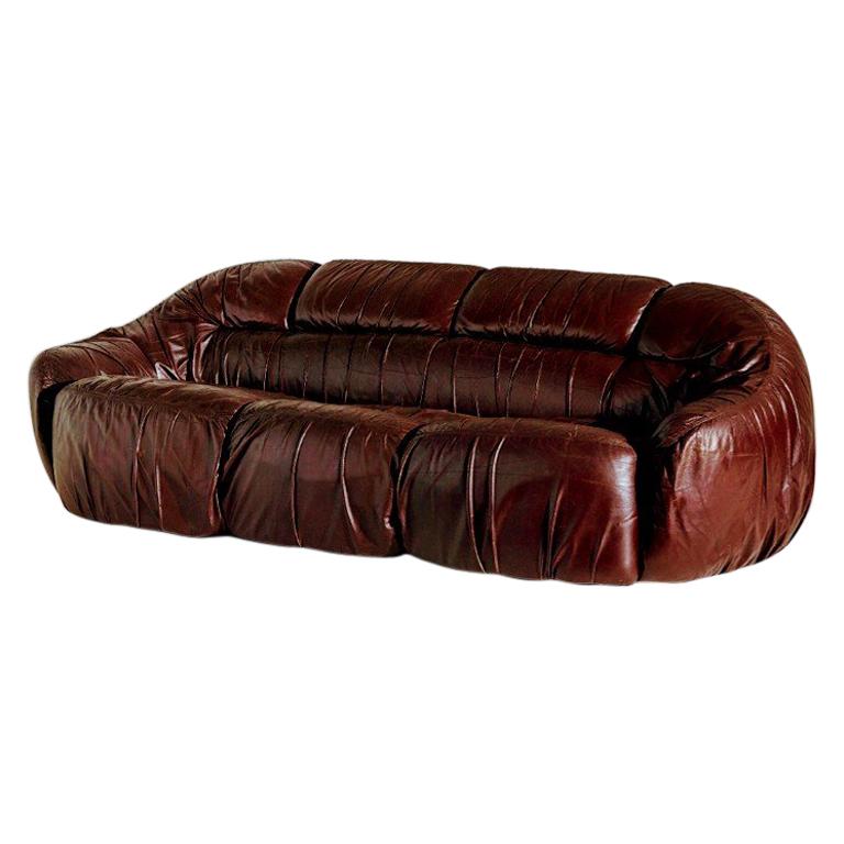 Sergio Crippa Midcentury Brown Leather "Otaria" Italian Sofa for Neoflex, 1970