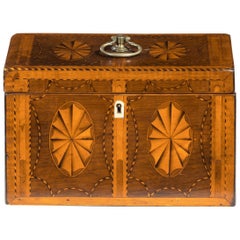 Georgian Harewood and Marquetry Inlaid Tea Caddy