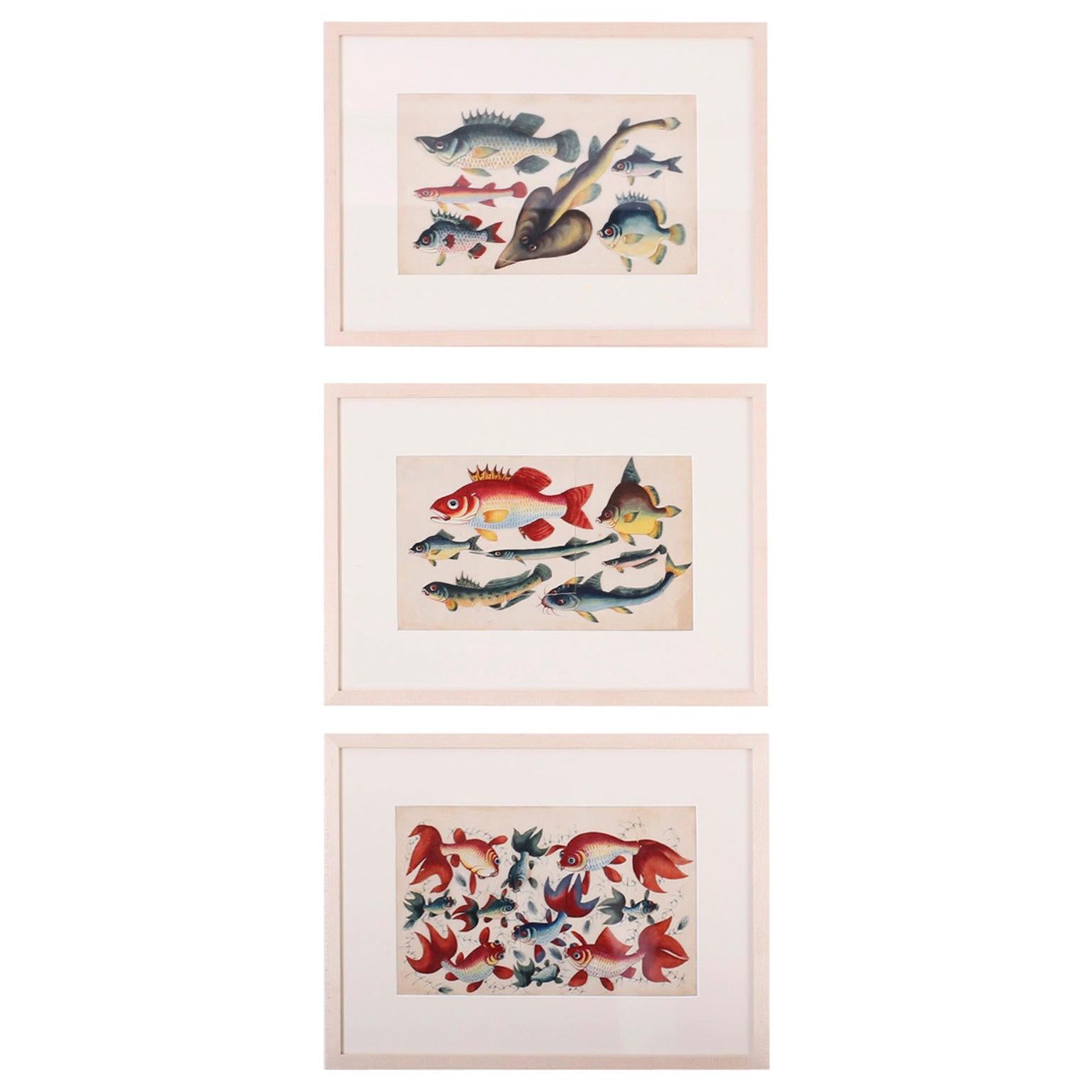 Ensemble de trois peintures chinoises en tissu représentant des poissons en vente