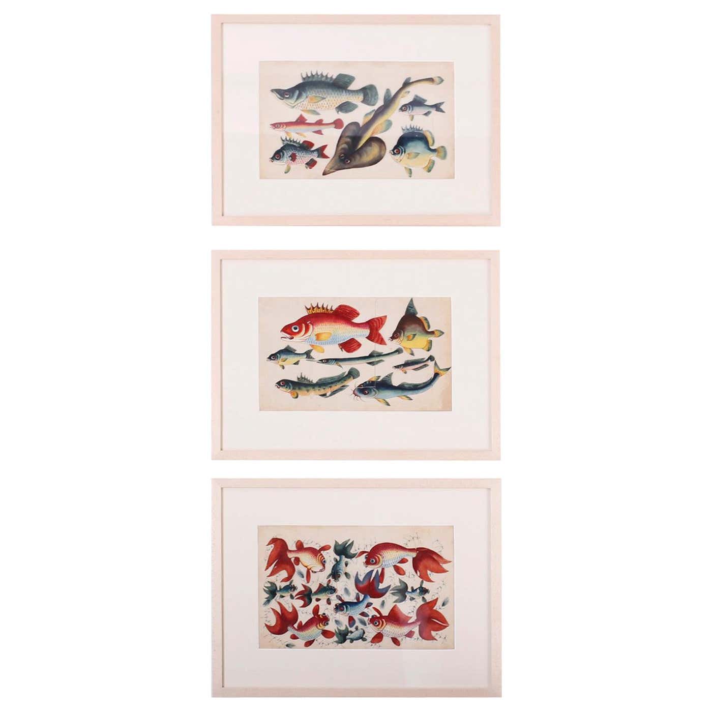 Set of Three Chinese Pith Paintings of Fish For Sale at 1stDibs | asian ...