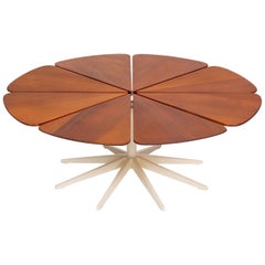 Vintage Petal Collection Coffee Table by Richard Schultz for Knoll